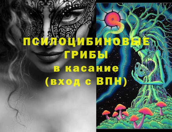 МДПВ Бородино