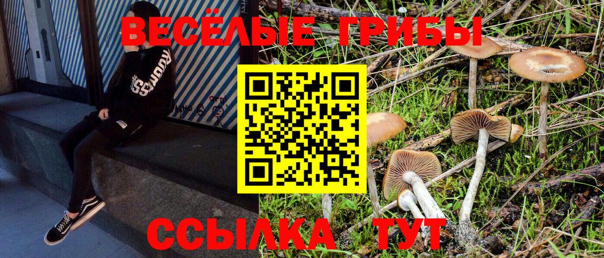 Псилоцибиновые грибы GOLDEN TEACHER  Вход с VPN  Галлюциногенные грибы Psilocybine cubensis  Славянск-на-Кубани 